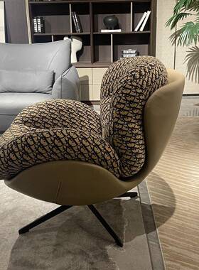 迪富家用蜗牛椅人沙发休闲椅简单人椅客厅摇椅现76602代懒简约极