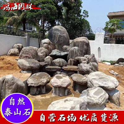 泰驳山石TSS-006自然石景林观石园石鱼池岸石泰假山石造景石头雪
