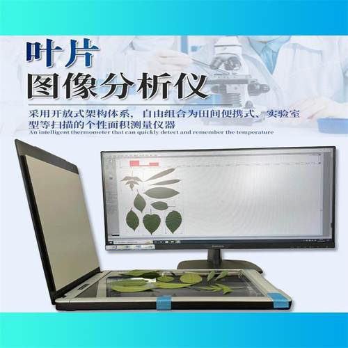 叶片图像分析仪叶片图像扫描仪叶片成像分析仪