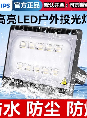 飞利浦led投光灯户外防水射灯洗墙泛光灯广告牌超亮BVP170176系列