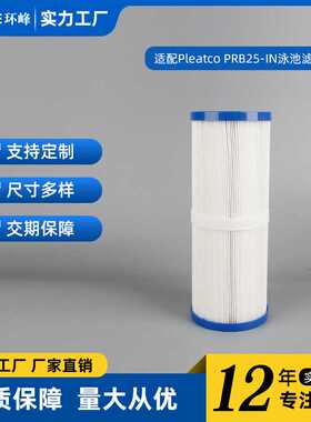 适配亚马逊热卖 SPA池PRB25-IN FC2375滤芯滤网