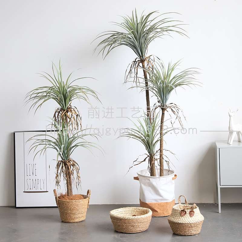 小丝兰树仿真绿植沙生植物摩洛哥风格假树盆栽空间装饰仿真植物