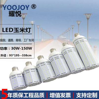 40W大功率玉米灯60WLED玉米灯30W80W150W120W E27玉米灯泡100W