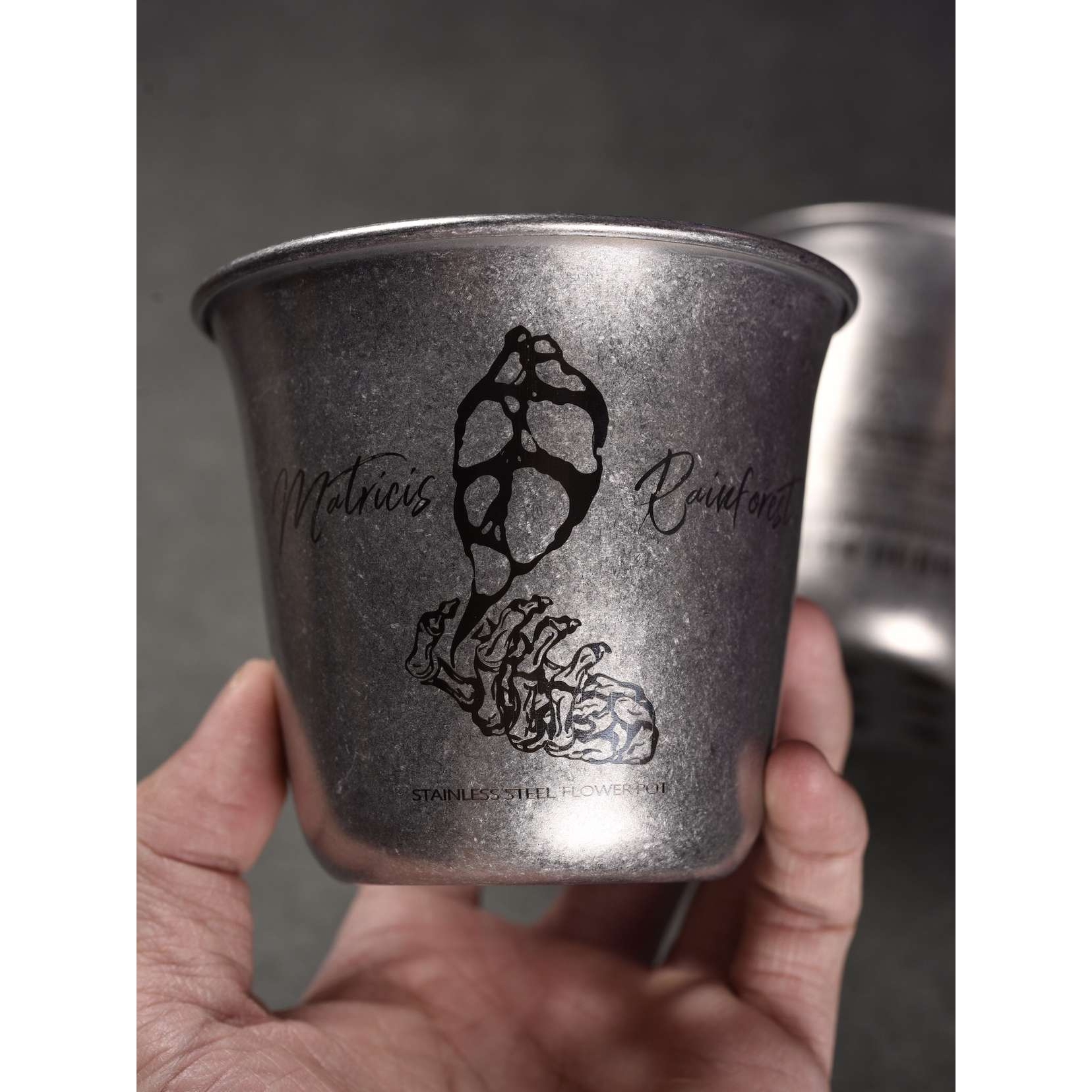 潮流花盆 花烛、块根苗杯 地下雨林304不锈钢苗盆复古石洗做旧