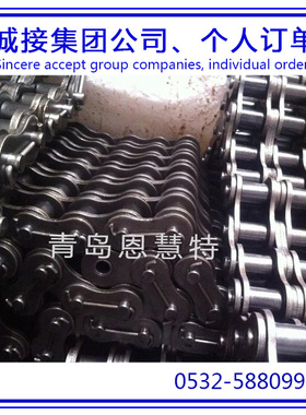 DBC东宝防锈滚子40-1 60-1 100-1 双节距输送链条短节距工业链条