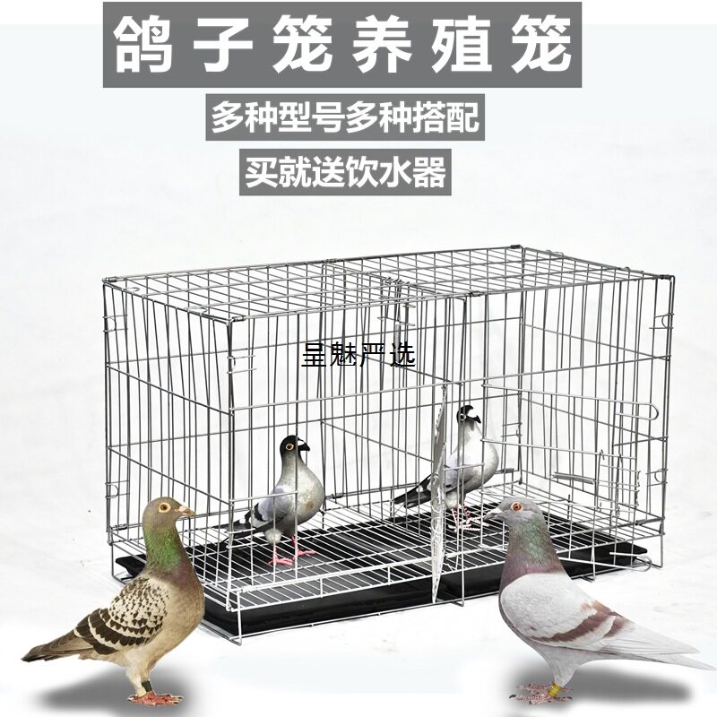 加粗鸽子笼包邮鸽子用品用具鸽子配对笼养殖笼子金属折叠大号