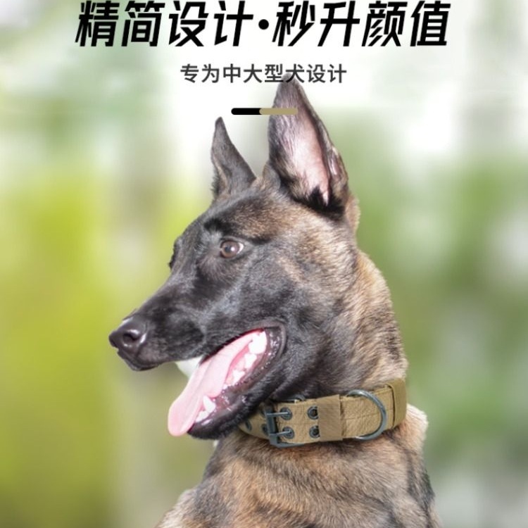 超结实大型犬栓狗狗项圈大狗圈颈圈中型犬马犬狗脖圈猛犬脖套