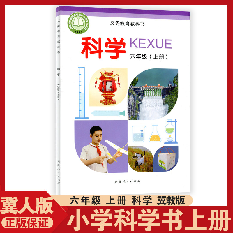 2026秋科学冀人版六年级上册