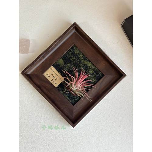 ins空气凤梨套餐磁吸现代装饰画框复古桌面挂画软装深棕色相框5寸