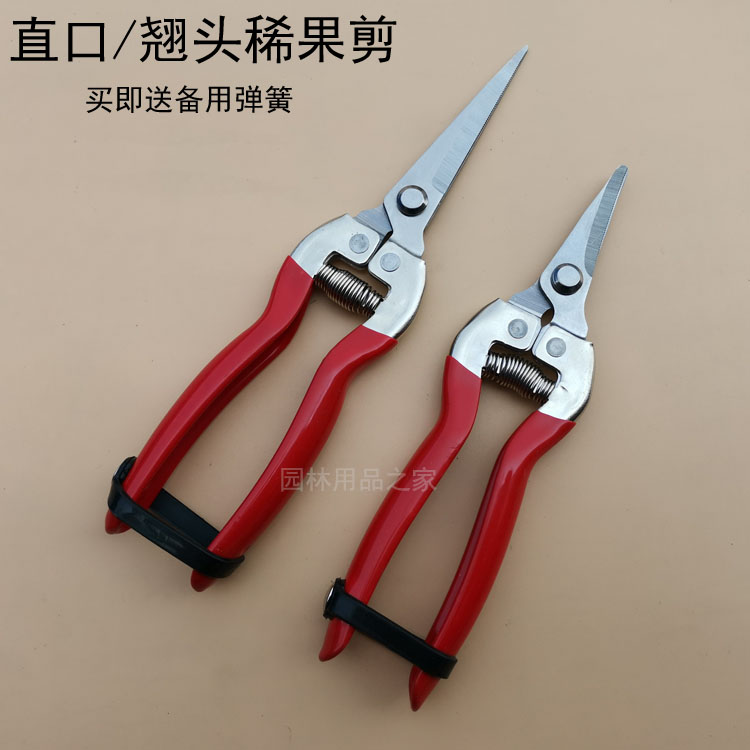 速发葡萄剪园艺采果芽剪摘果子修花稀果柑果疏果剪水果蔬橘剪刀