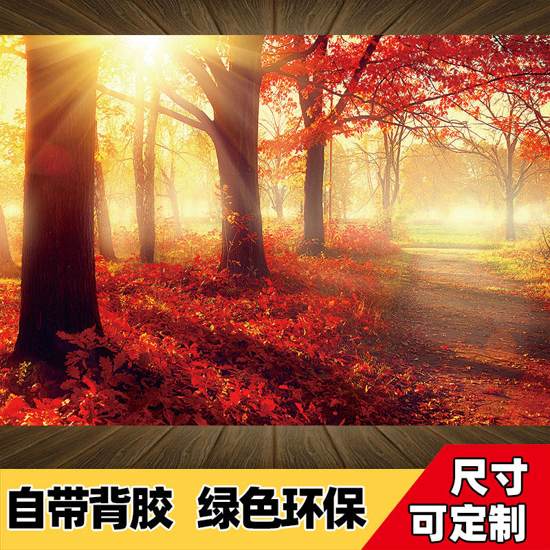 速发贴画自粘风画纸卧室墙壁景树林装饰画纸画大自然墙贴墙画贴纸