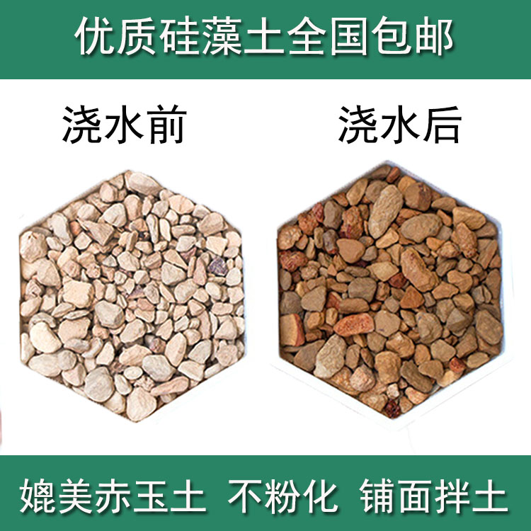 速发园藻硅1土大颗粒 兰花种植多肉铺面硅藻石颗粒土艺--6-mm