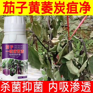 茄子杀菌药正品官方旗舰店茄子黄萎病炭疽病软腐病疫病茄子病菌清