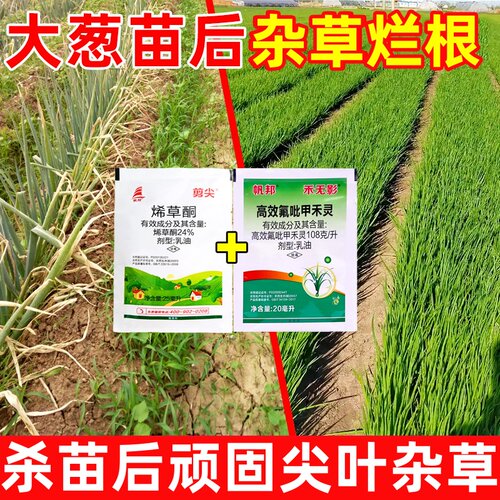 大葱除草剂大葱小葱苗后除草烂根剂杀一年生禾本科杂草蔬菜除草剂