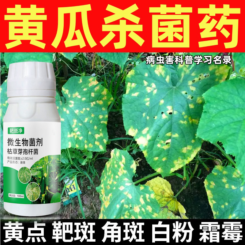 黃瓜專用藥病菌清霜霉靶斑