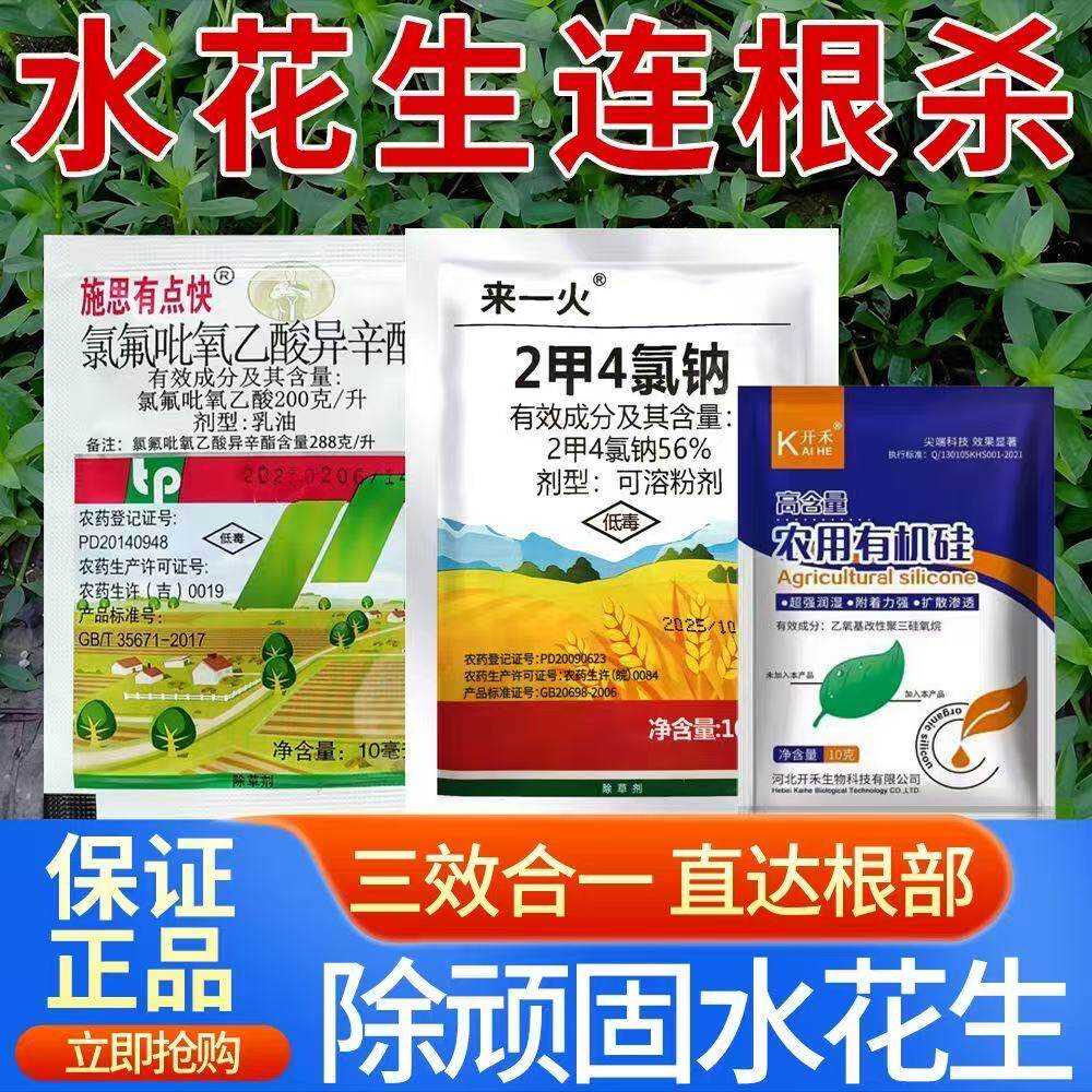 水花生克星套餐水花生除根除草斩草除根连根革命草强效除草剂正品