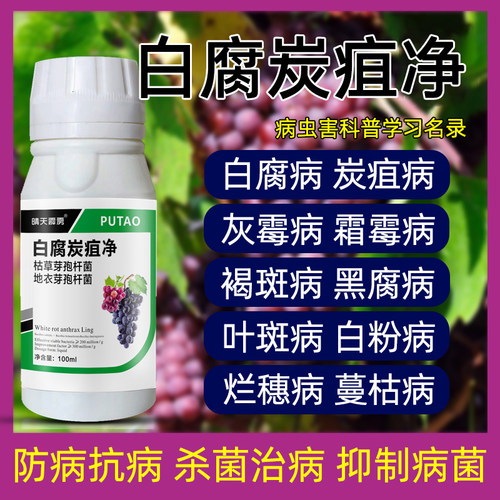 葡萄病菌清葡萄杀菌剂黑斑病炭疽病霜霉病白粉病葡萄杀菌农用正品