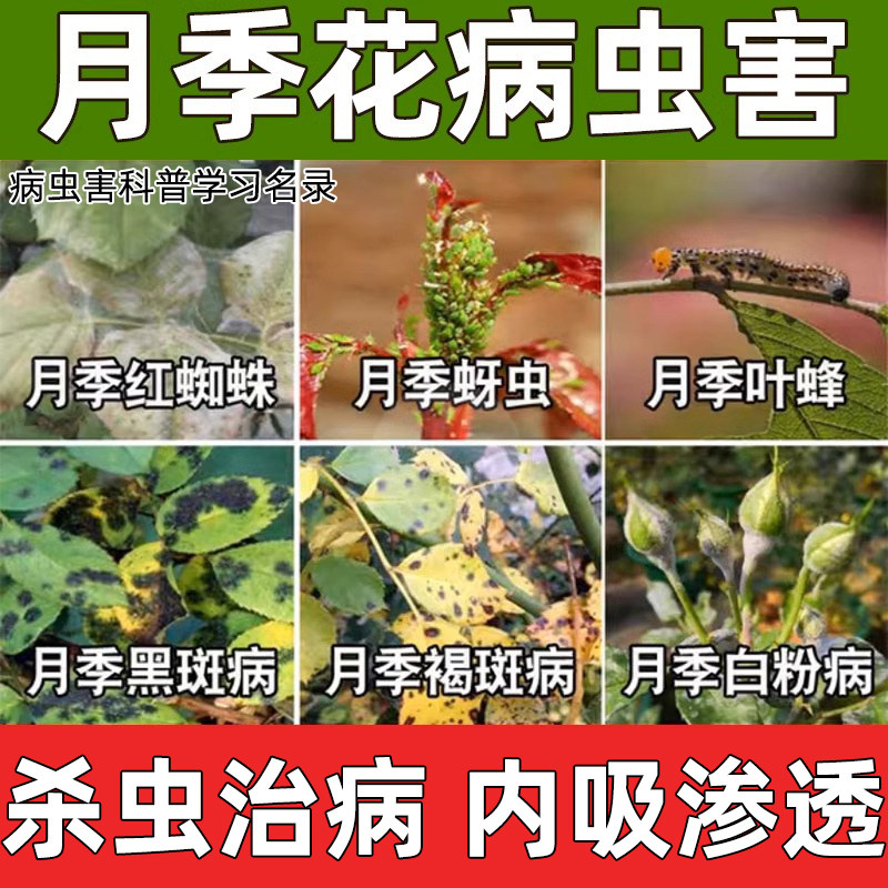 月季花病虫害常用药正品农用图片
