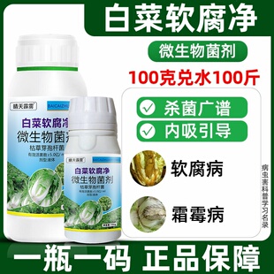 白菜软腐病杀菌剂白菜病菌清大白菜黄叶烂根腐烂灰霉病防治药