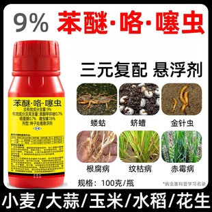 苯醚咯噻虫小麦拌种剂水稻大蒜玉米花生种衣剂拌种剂农药杀菌剂