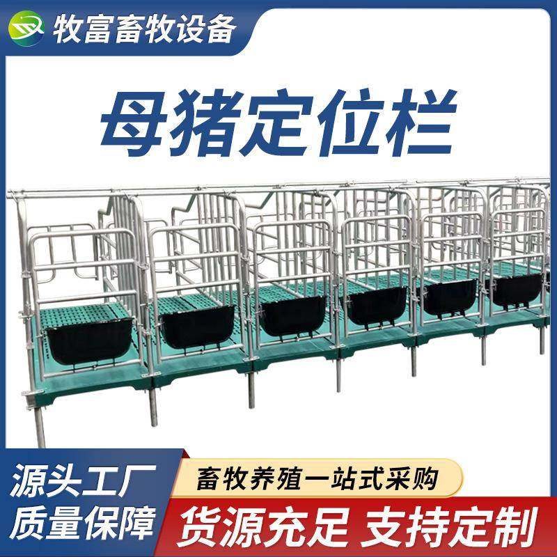 带粪板母猪限位栏落地式简易产床栏加厚热镀锌母猪定位栏养殖设备,畜牧/养殖物资,特种养殖设备,淘宝优惠券,粉丝福利购,淘宝优惠卷