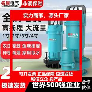 德国十大品牌全铜潜水泵水泵220V家用抽水泵高扬程清水泵大流量灌