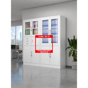 新款钢制文件柜办公室铁皮柜财务凭证柜档案资料柜书柜带锁抽屉收