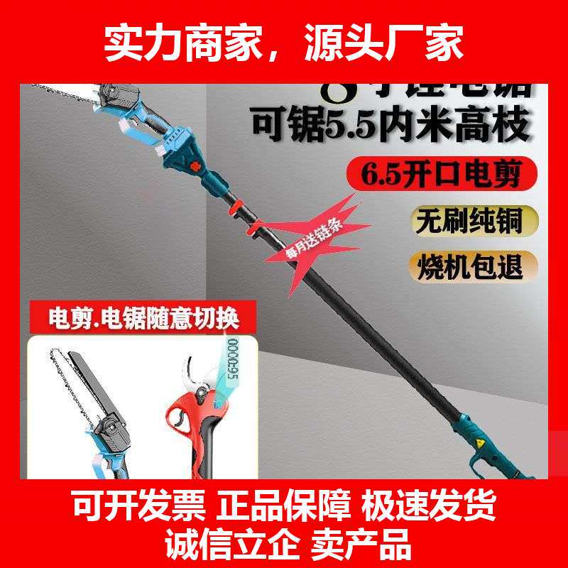 德国十大品牌电动修枝据伸缩杆电动高枝锯剪刀加长杆充电式据树高