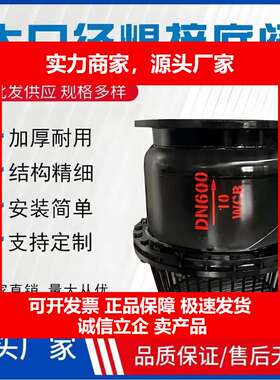 德国十大品牌碳钢不锈钢大口径焊接底阀SSDF-16水上式底阀 水泵龙