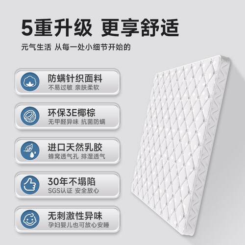 厂家椰棕床垫榻榻米硬棕薄垫乳胶家用宿舍出租房学生儿童床垫