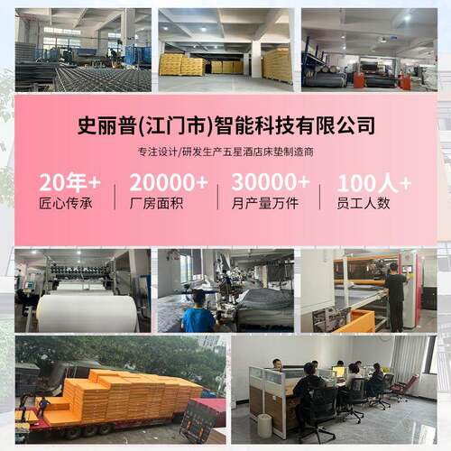 学生宿舍床垫KKI椰棕垫童出床租房床硬垫垫儿榻榻米床垫家用卧室