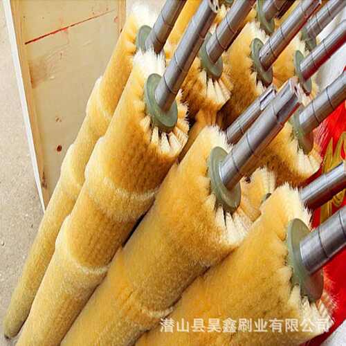 选果机毛刷分果机刷辊水果自动分选机尼龙滚刷分拣毛刷辊圣女果