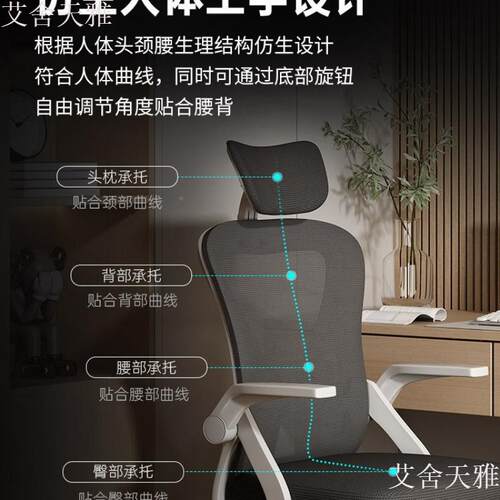 电脑家椅久坐舒适办公椅桌用学生学习椅可升学降人体工003书椅子