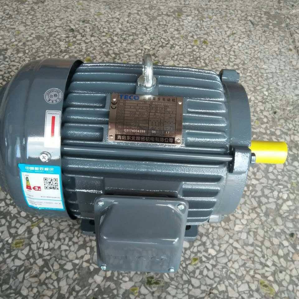 电机TEGH100L1-43HP2.2K1455r/min220V/380VAEEFF3