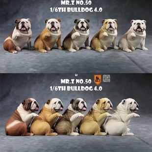 6英国斗牛犬仿真英斗狗模型家居车载摆件英牛树脂工艺品 Mr.Z1