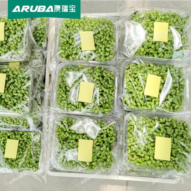 菜芽苗包机水培菜豆芽豆苗花生装芽自动包装机贴标机豆芽包装厂家