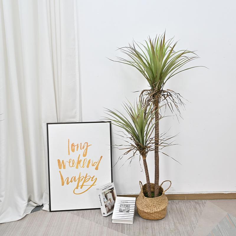 仿龙血铁树千年木龙血zj6421树绿居植盆栽落地景装饰摆真件客造厅