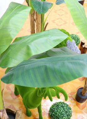 大仿真摆植物芭蕉树室内观件型盆栽香蕉树软装造景落地BJ-18745假