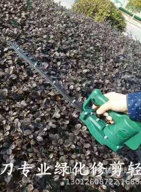 双刃动绿篱机机小型手持背负修式修枝剪修枝园林11291剪机电绿篱