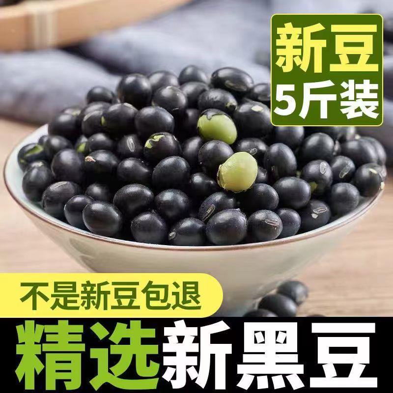 新货绿心黑豆东北农家黄芯黑豆可发芽豆浆泡醋青皮黑小豆非转基因