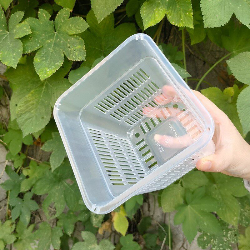 新款控根方盆兰花盆栽正方形塑料花盆透气透光观根盆定植篮水培盆