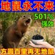 地鼠药庄稼保护神器驱赶鼹爬子果菜园田野养殖场捕灭赶鼠克 剋星