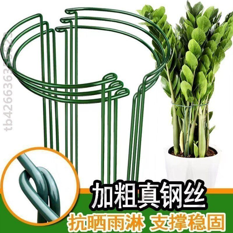 花杆支撑花支撑架金钱树植物花支架支撑杆花架花卉龟背竹防倒伏虎