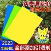 双面防水装 粘虫板黄板诱虫板灭虫板篮板果园大棚粘板诱虫板粘蓟马
