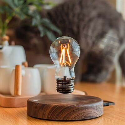 牛顿震惊磁悬浮灯泡桌面摆件创意圣诞礼物小夜灯氛围灯拾亿光年