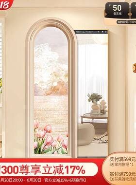 奶油风玄关全身镜饰装画2隐025新款形画镜子暗藏式推拉HJBJ-202遮