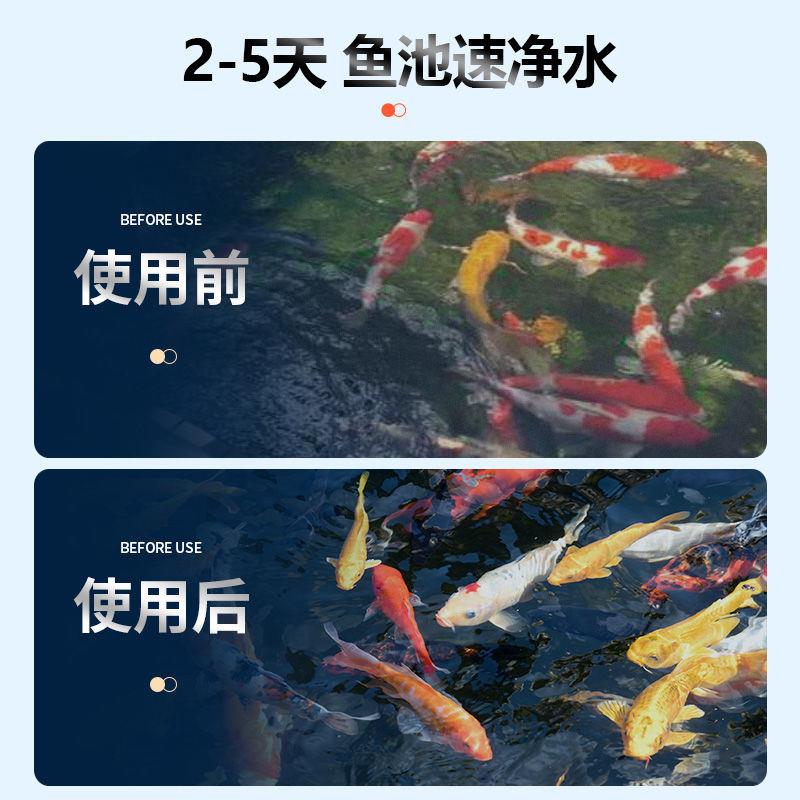 鱼缸上置过鱼池水循环系统滤滤鱼塘85生态净水设备器水池周转箱过