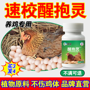 母鸡抱窝抱窝醒速效醒抱灵不让母鸡孵化扒窝抱窝灵禽不再恋窝趴窝