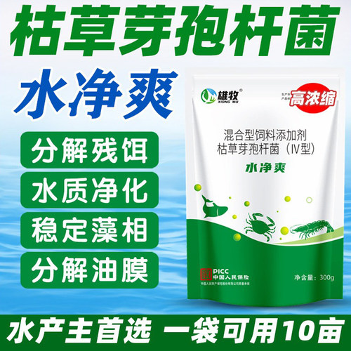 快速净水净水剂当天见效杀菌除臭
