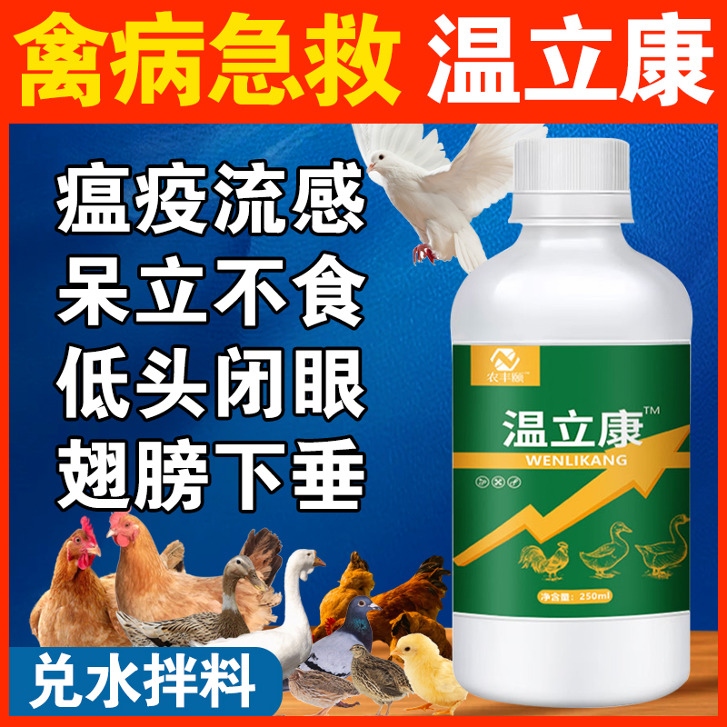 养鸡专用鸡药鸭鹅特效救命当天好